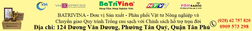 phamvanminh.com.vn