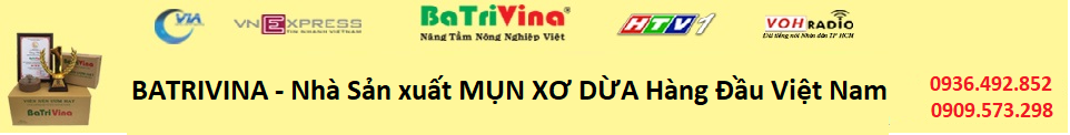 phamvanminh.com.vn